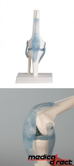 Kniegewricht model met banden